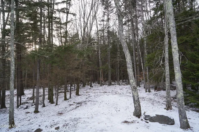 $749,900 | 73 Fern Ridge Road, Hunter, NY 12436