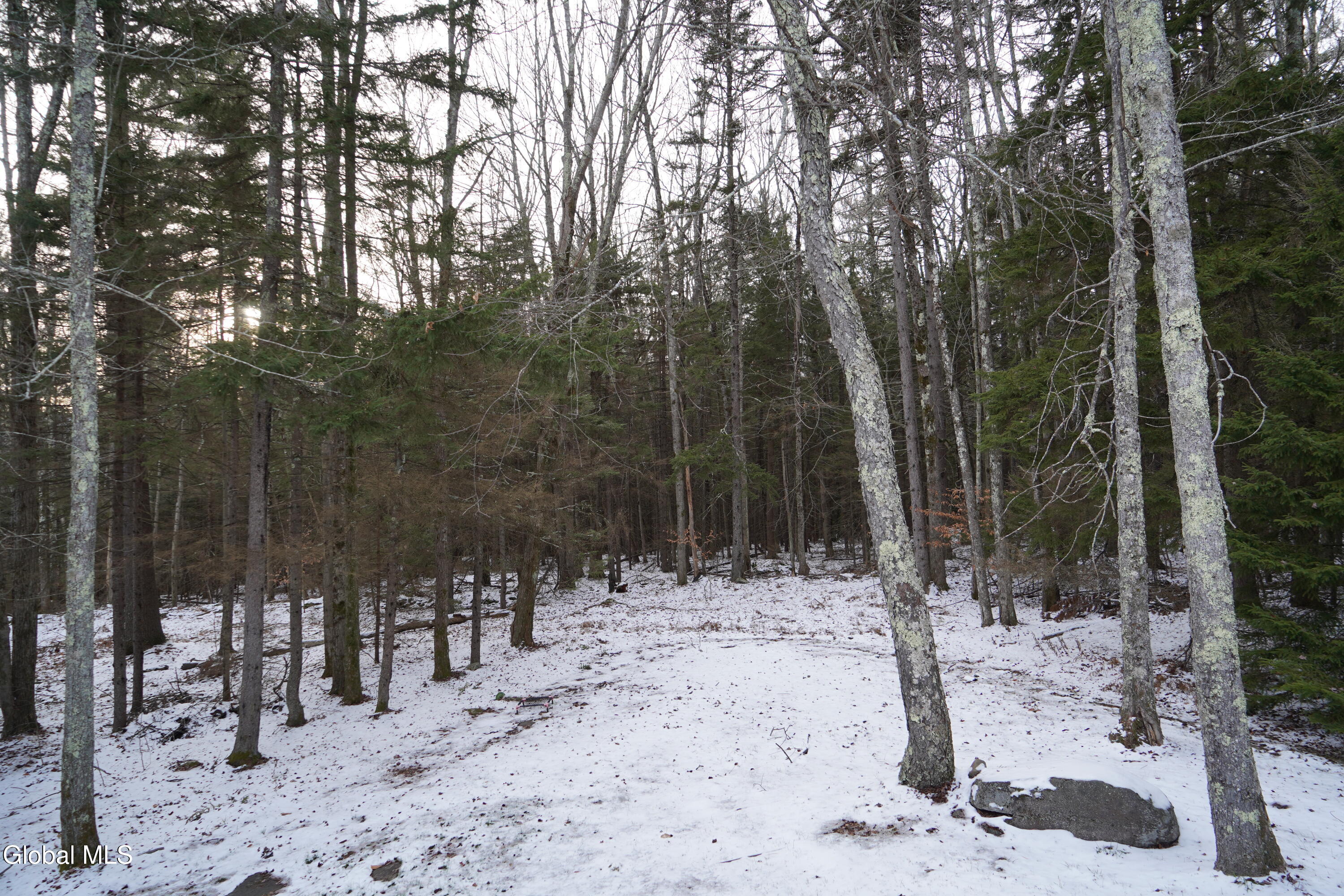 73 Fern Ridge Road Hunter, NY 12436 - Photo 13 of 44 DSC01760