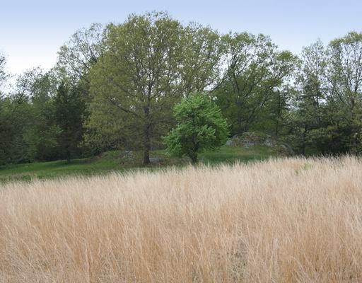 4 Crowell Farm Road Concord, MA 01742 - Photo 8 of 9