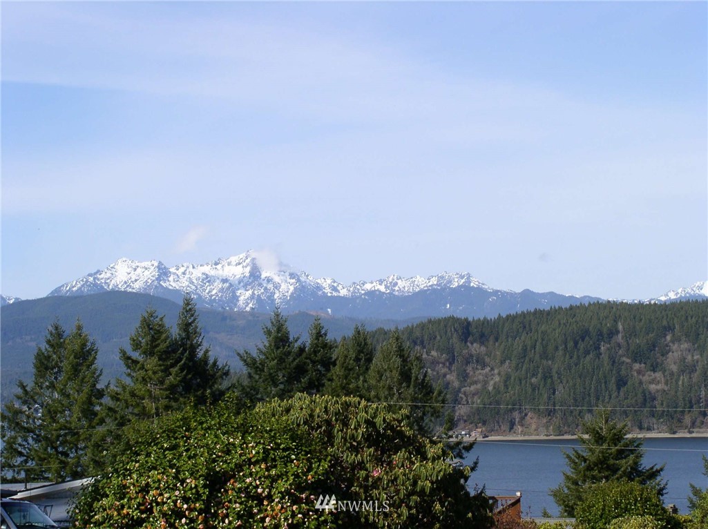 421 East McReavy Road Union, WA 98592 - Photo 1 of 37 Gallery Image 1