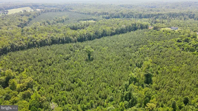 $189,000 | 0 Country Road, Beaverdam, VA 23015