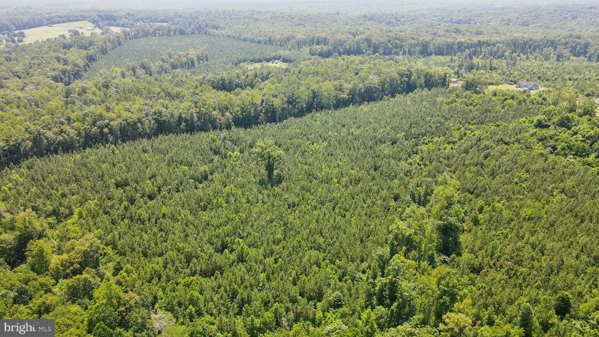 0 Country Road Beaverdam, VA 23015 - Photo 11 of 15