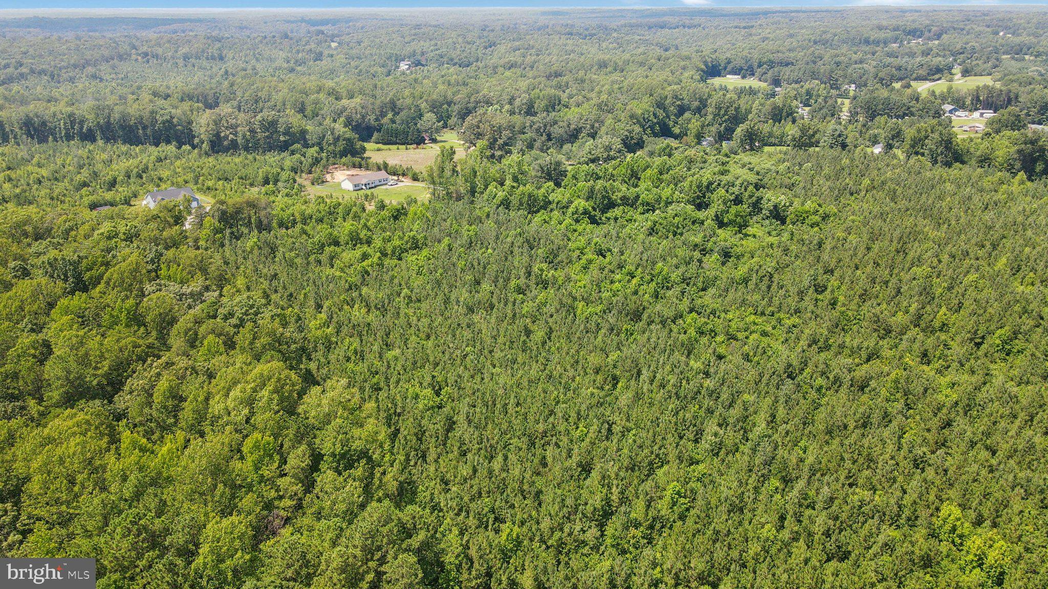 0 Country Road Beaverdam, VA 23015 - Photo 12 of 15