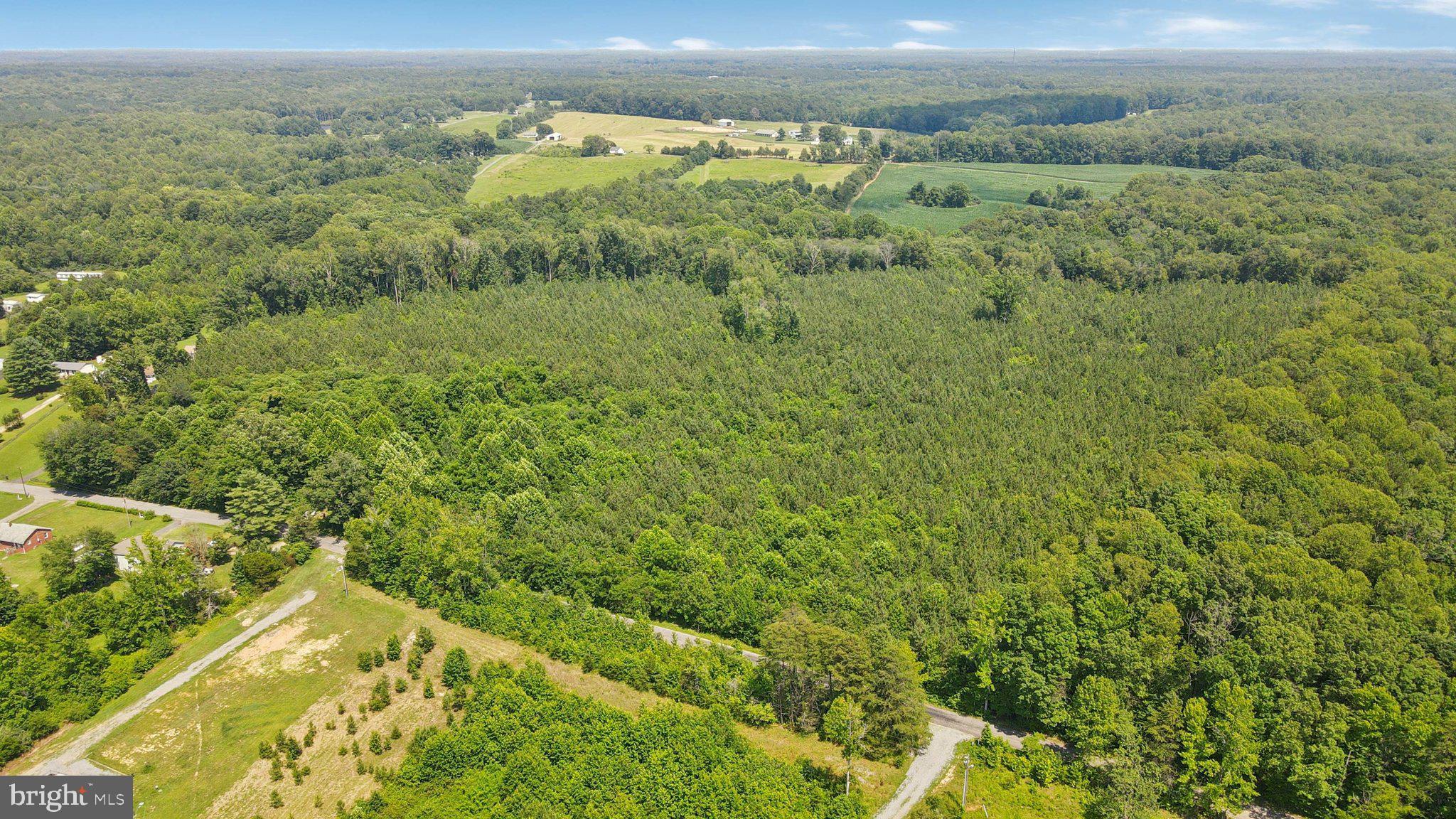 0 Country Road Beaverdam, VA 23015 - Photo 14 of 15