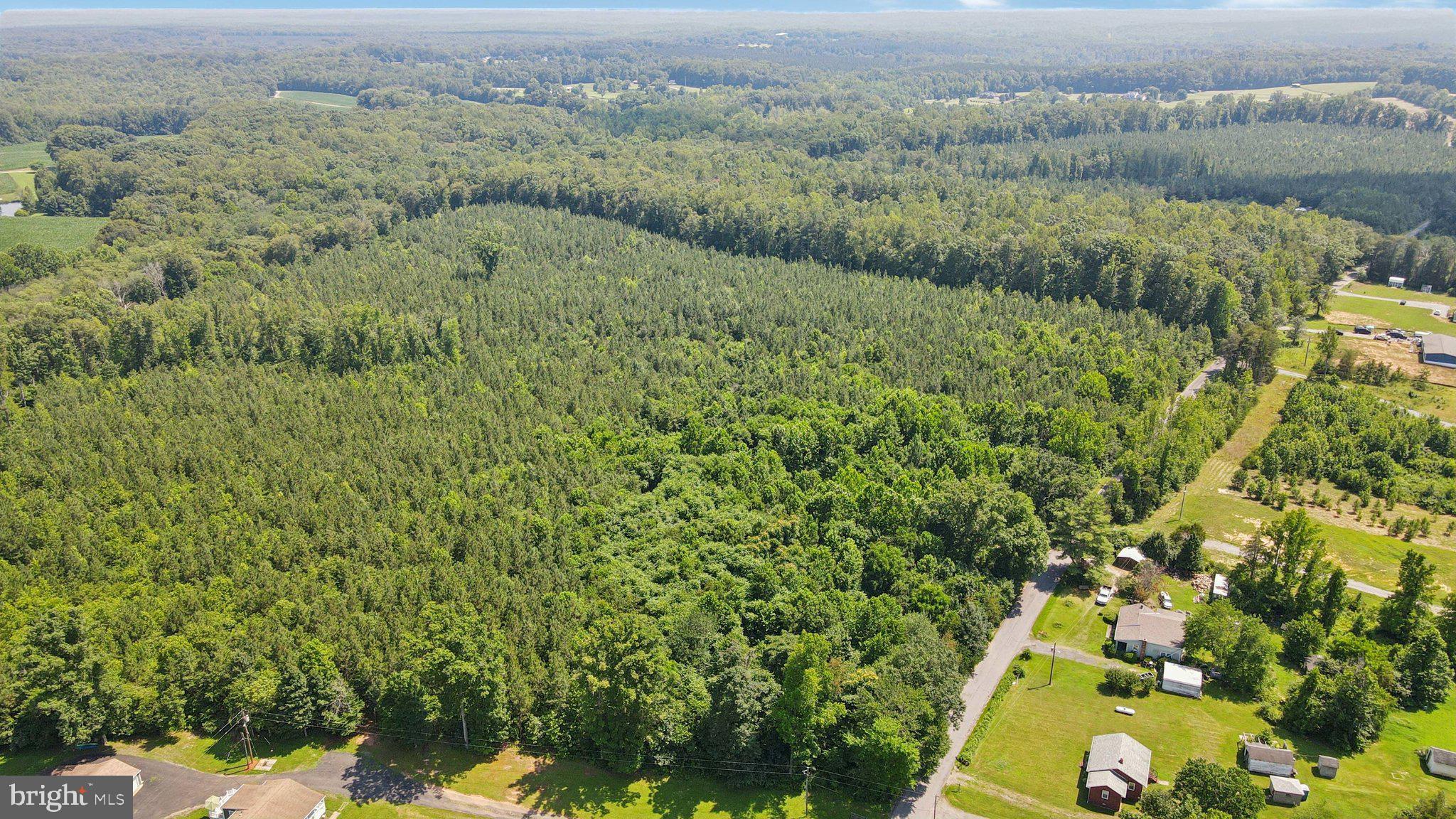 0 Country Road Beaverdam, VA 23015 - Photo 15 of 15