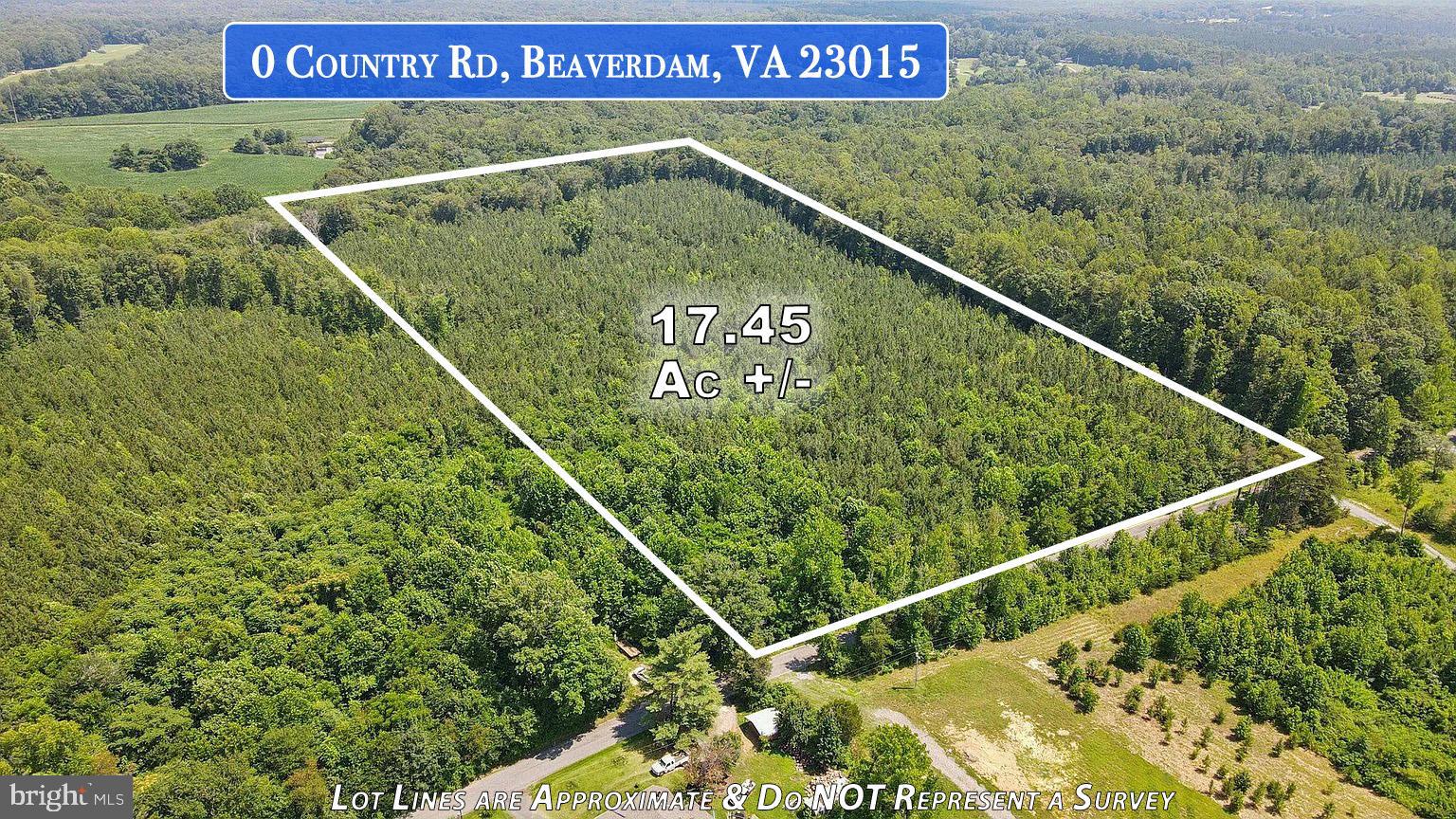 0 Country Road Beaverdam, VA 23015 - Photo 4 of 15