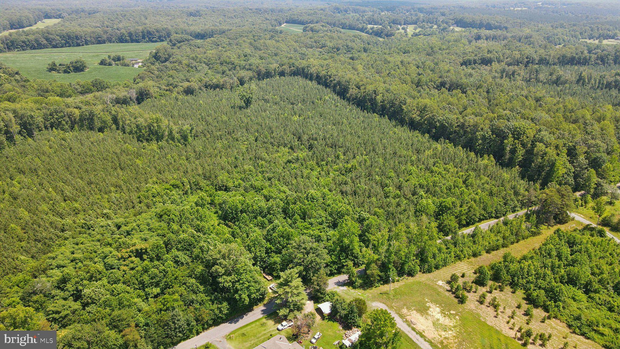 0 Country Road Beaverdam, VA 23015 - Photo 7 of 15