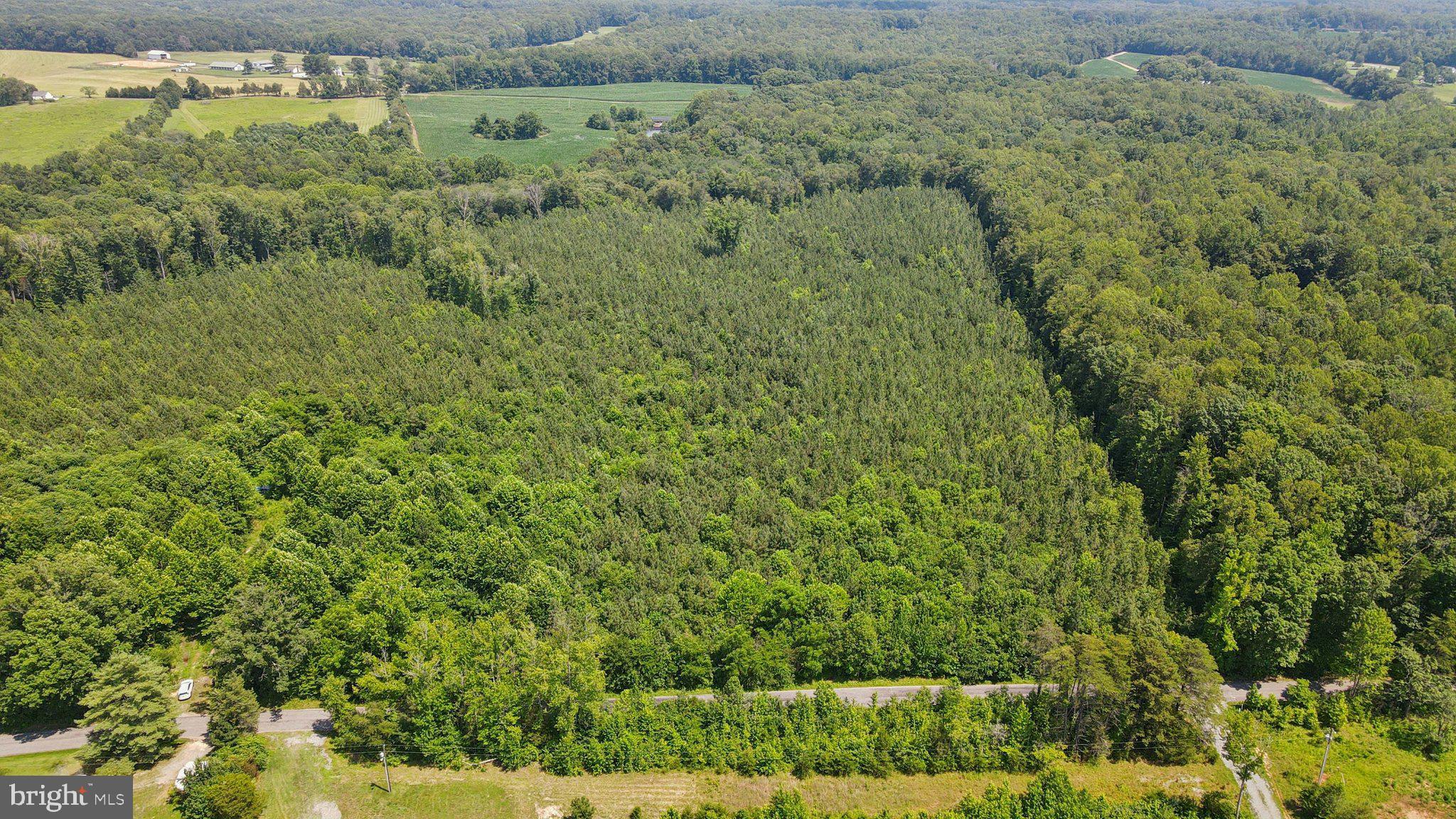 0 Country Road Beaverdam, VA 23015 - Photo 8 of 15