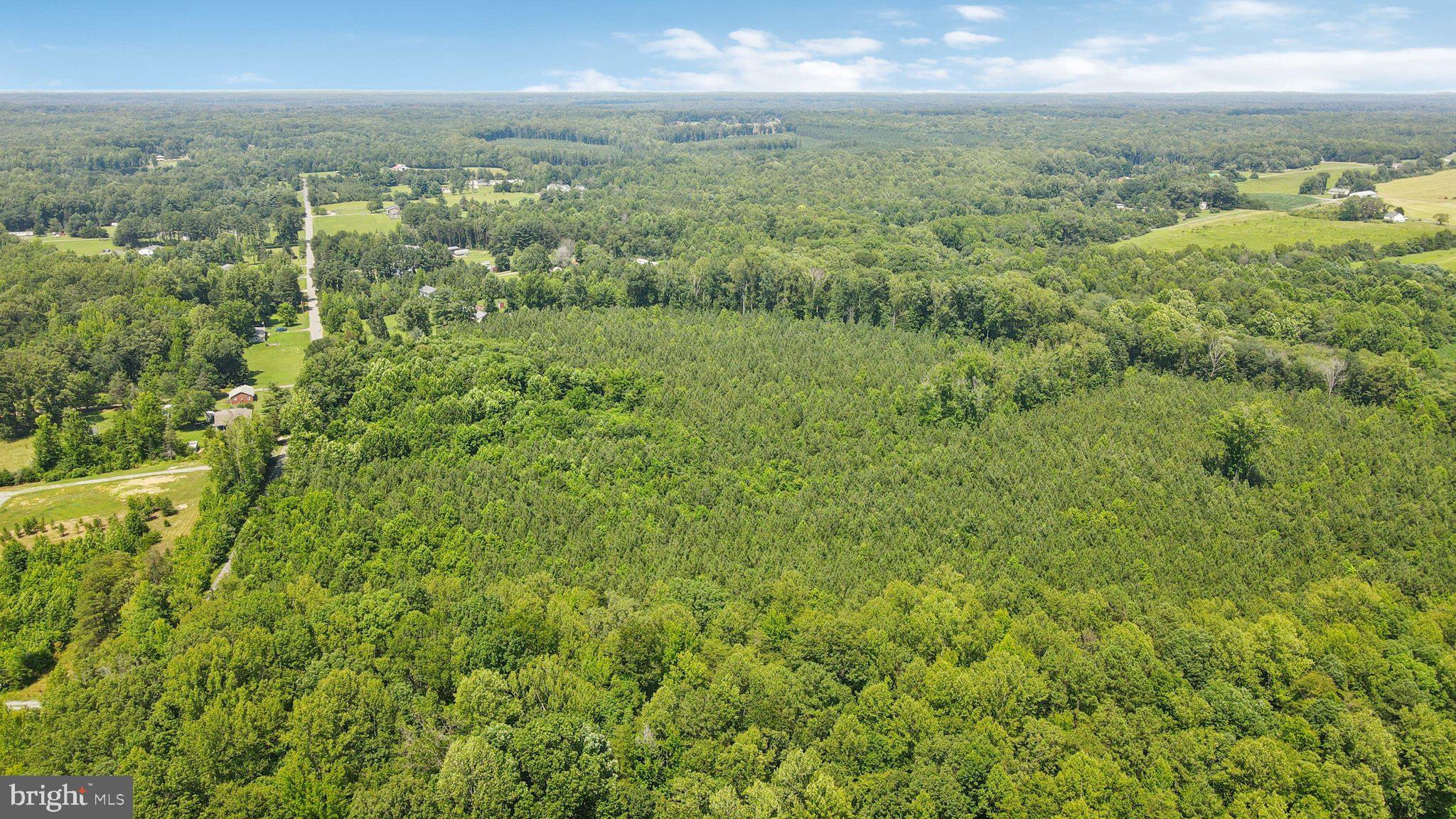 0 Country Road Beaverdam, VA 23015 - Photo 10 of 15