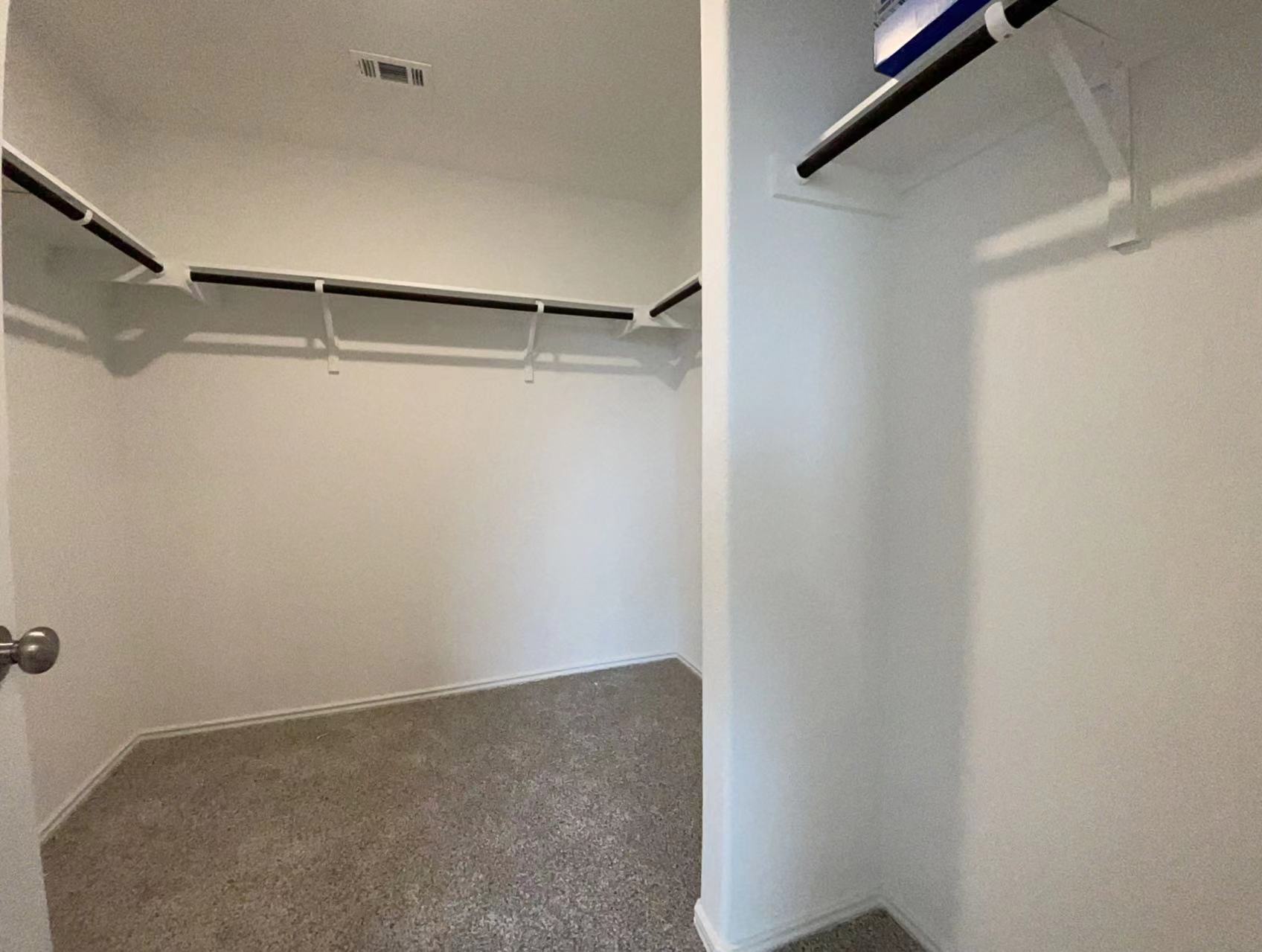 125 Madrid Kyle, TX 78640 - Photo 11 of 23 Walk in closet with dark colored carpet