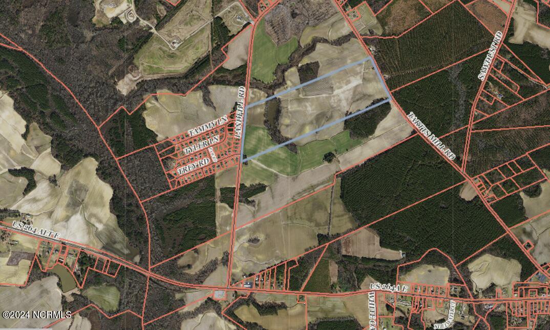 4540 Tartt's Mill Road Wilson, NC 27893 - Photo 3 of 8 GIS Tract 1