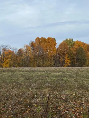 $59,000 | 8699 South 29th Street, Scotts, MI 49088