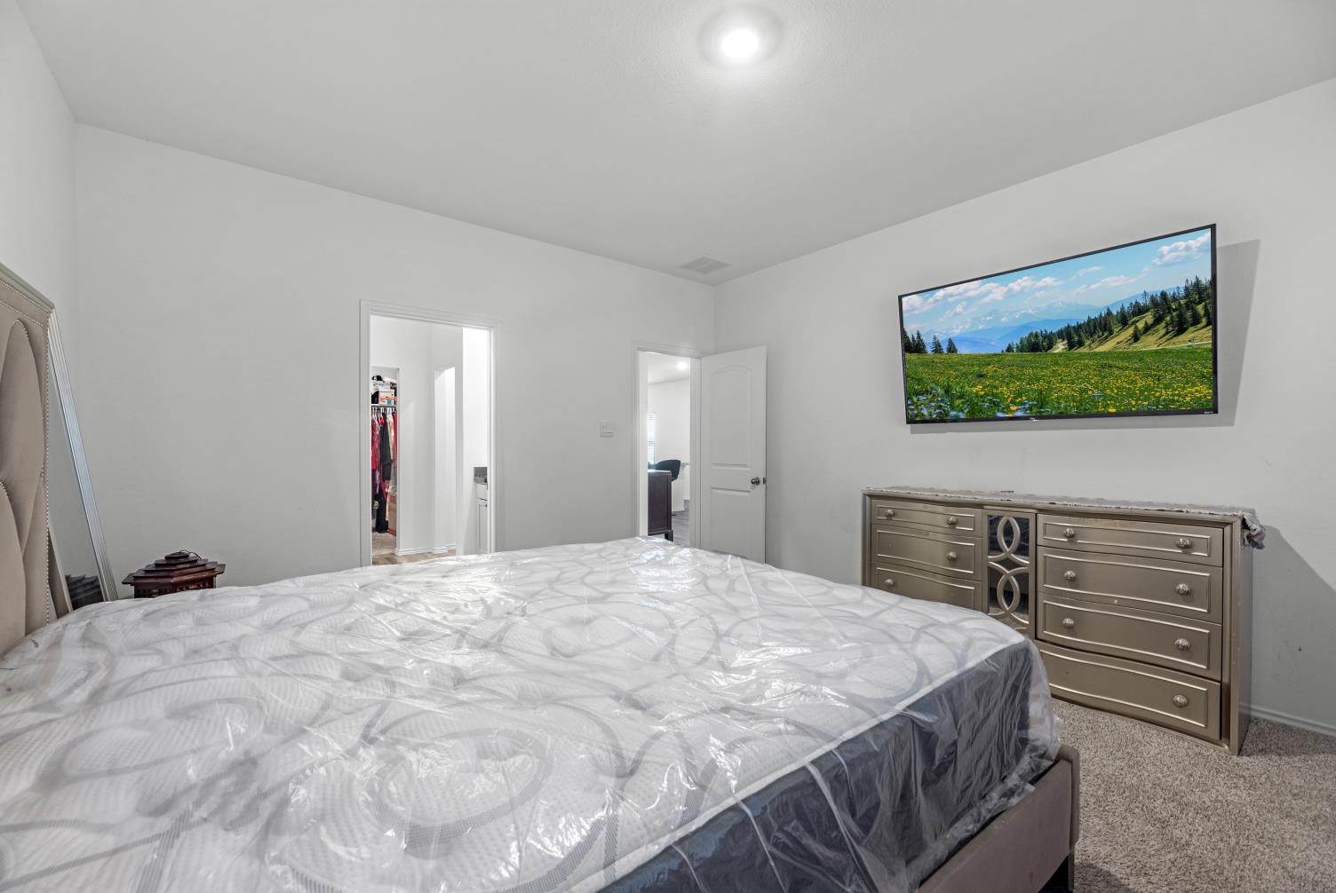 23815 Desert Brush Ct Spring Spring, TX 77373 - Photo 13 of 24