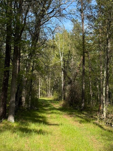 3 County Road 3 Merrifield, MN 56465 - Photo 12 of 36