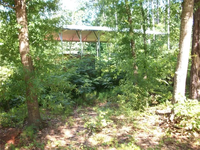 a view of a garden with plants and a bench