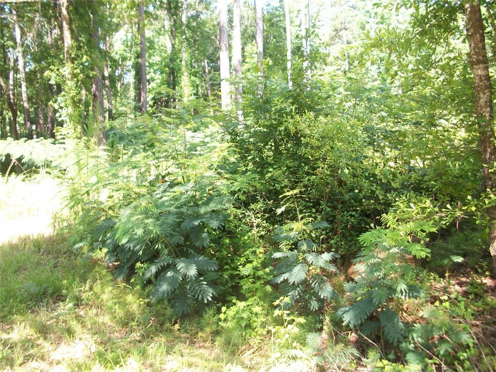 43 Shady Lane Jackson, GA 30233 - Photo 2 of 7