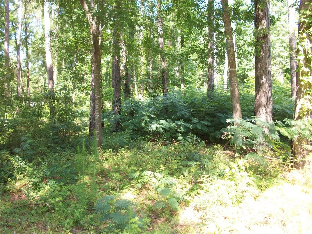 43 Shady Lane Jackson, GA 30233 - Photo 3 of 7 a view of outdoor space and trees