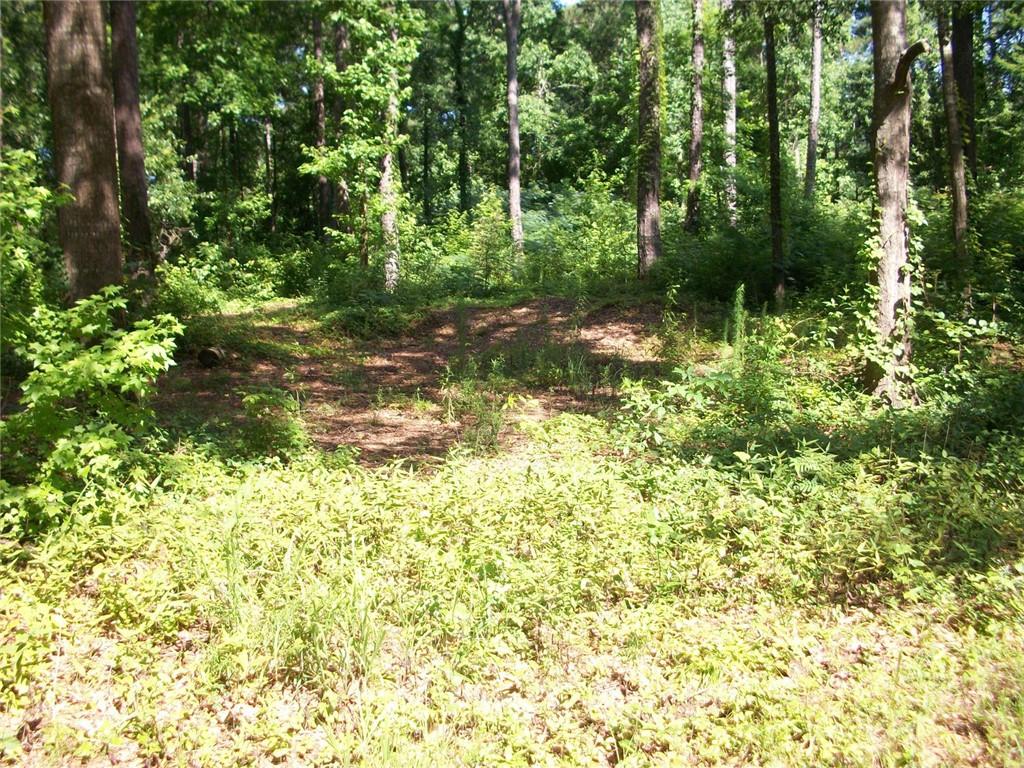 43 Shady Lane Jackson, GA 30233 - Photo 4 of 7 a backyard of a house with lots of green space and fountain in the back