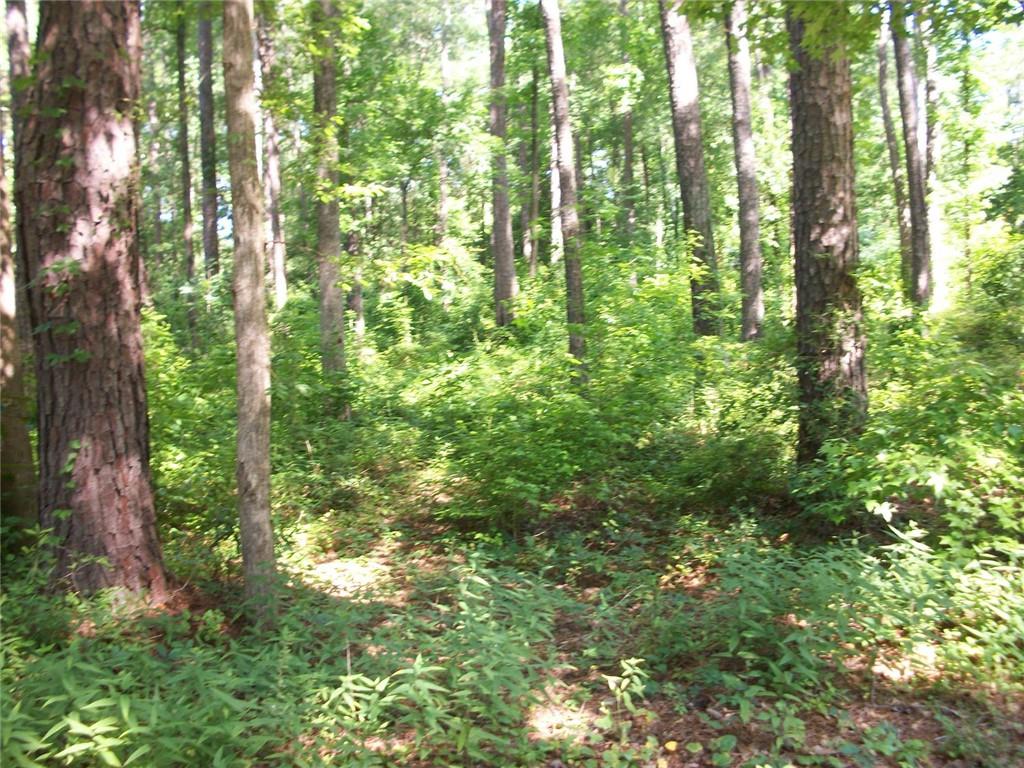 43 Shady Lane Jackson, GA 30233 - Photo 5 of 7 a view of forest