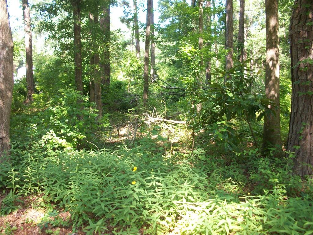 43 Shady Lane Jackson, GA 30233 - Photo 6 of 7 a view of a lush green forest