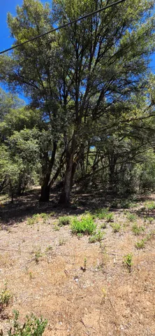 a view of a yard covered with snow