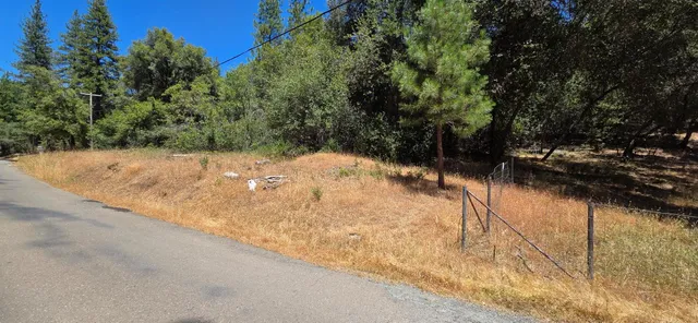 a view of a yard with trees