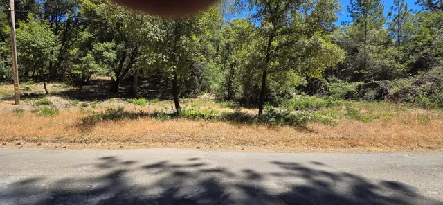 a view of yard covered with snow in yard
