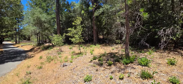 a view of outdoor space with trees