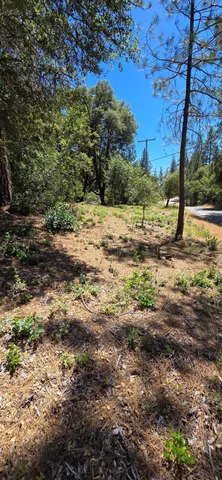 a view of a yard with an trees
