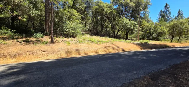 a view of empty space and tree