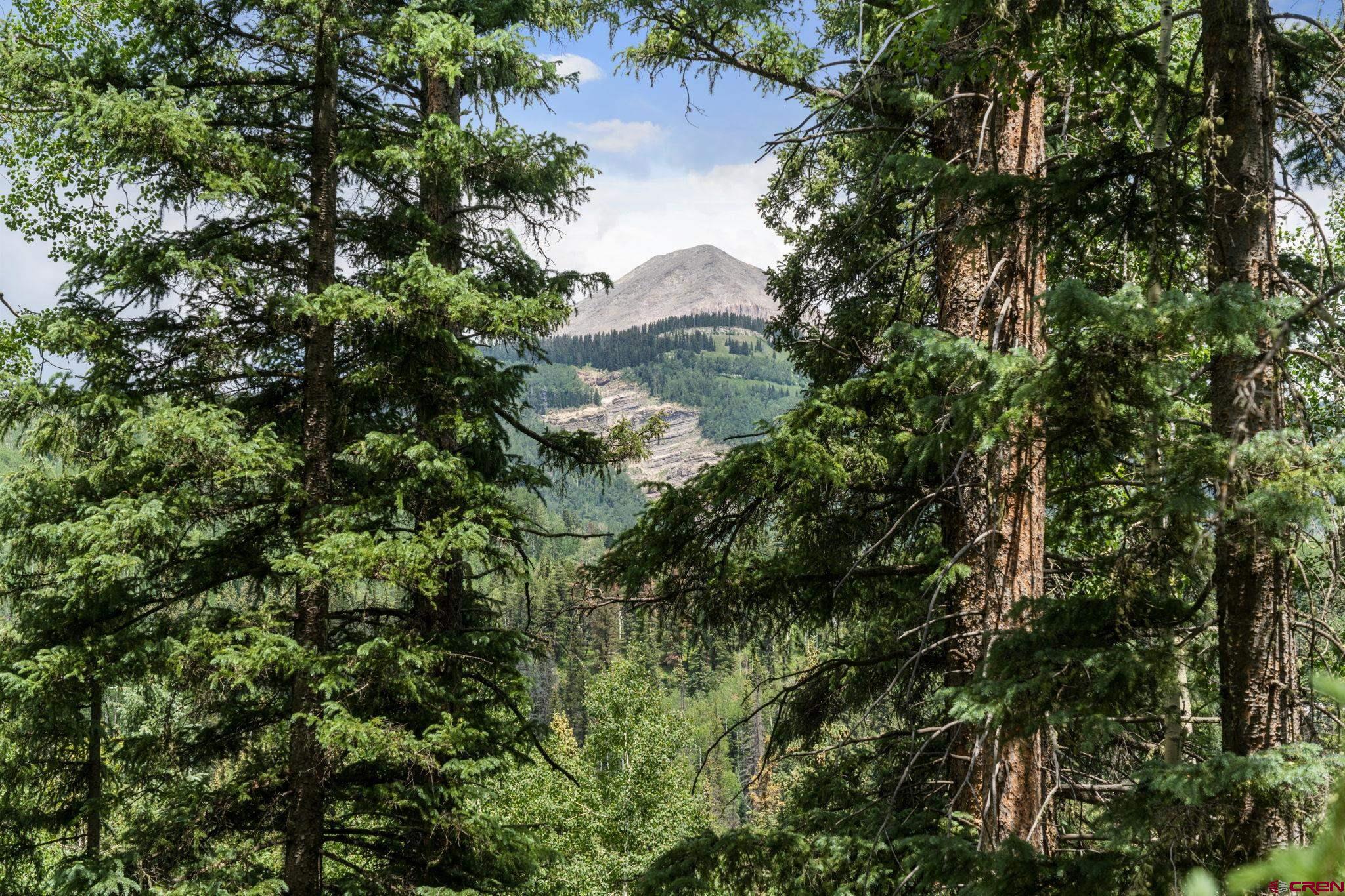 11 Lime Creek Road Durango, CO 81301 - Photo 11 of 16 Gallery Image 11