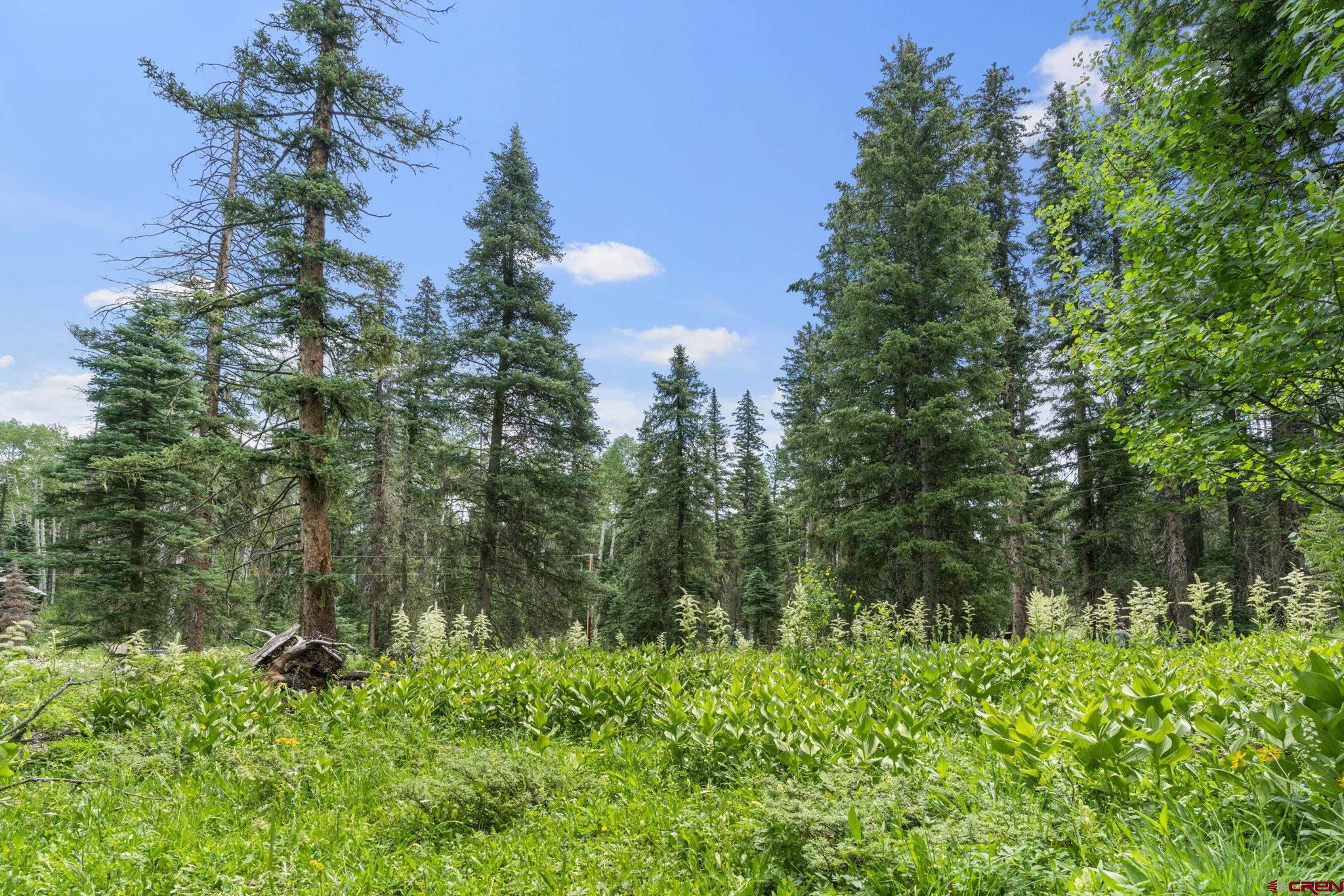 11 Lime Creek Road Durango, CO 81301 - Photo 12 of 16 Gallery Image 12