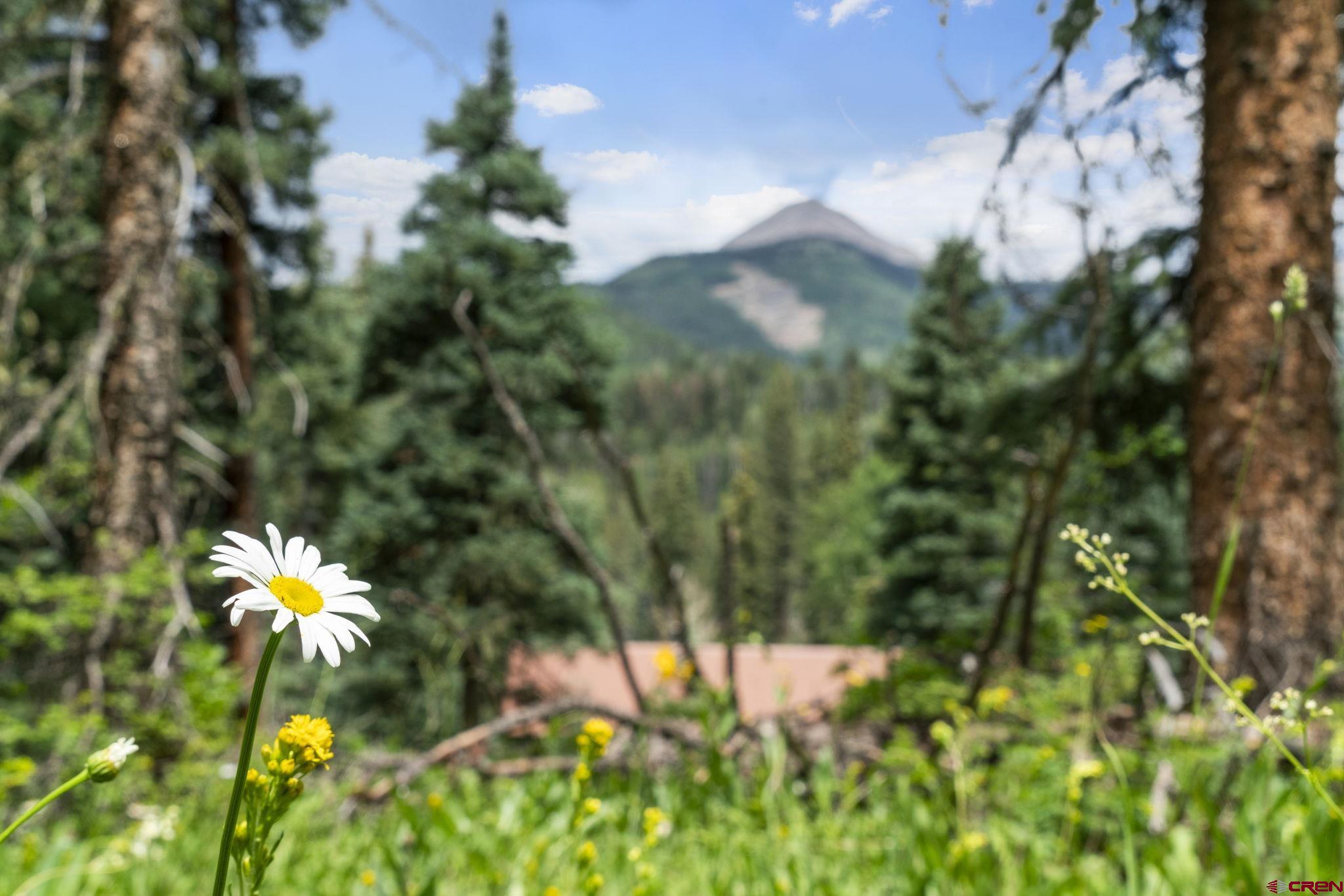 11 Lime Creek Road Durango, CO 81301 - Photo 2 of 16 Gallery Image 2