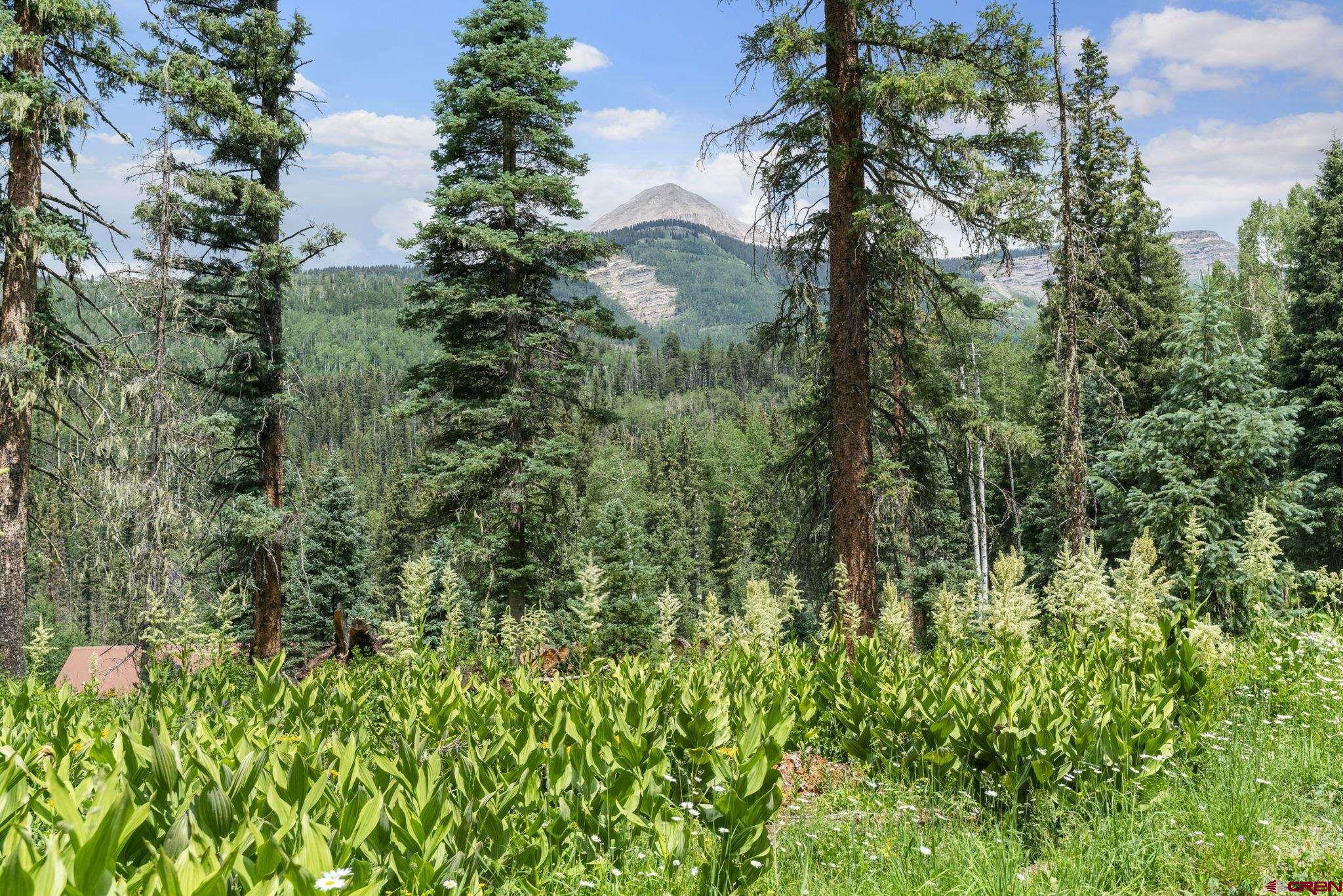 11 Lime Creek Road Durango, CO 81301 - Photo 5 of 16 Gallery Image 5
