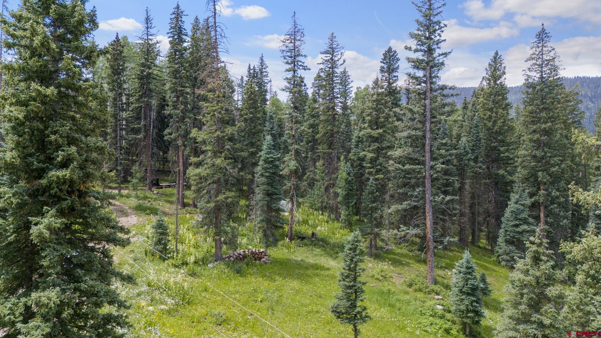 11 Lime Creek Road Durango, CO 81301 - Photo 8 of 16 Gallery Image 8