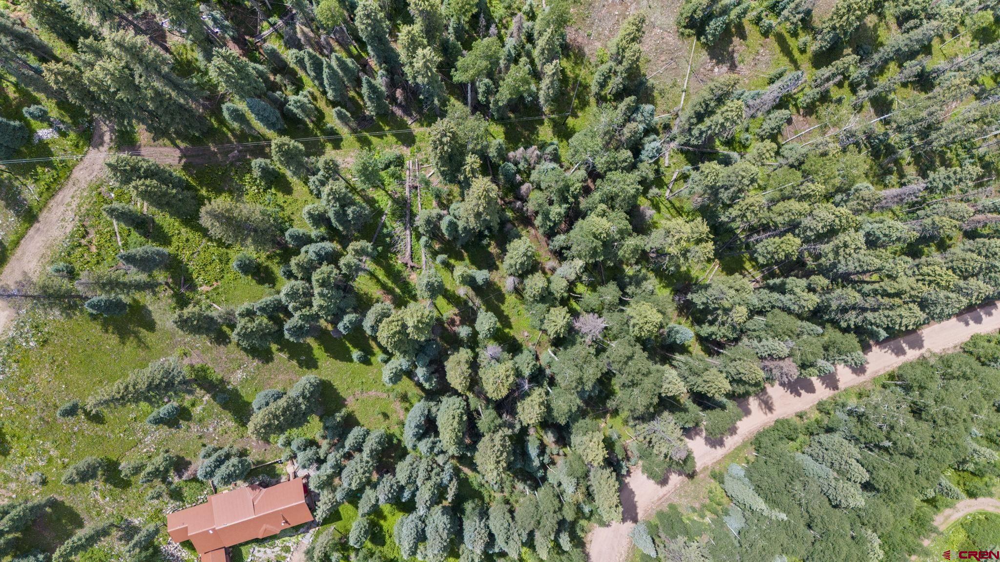 11 Lime Creek Road Durango, CO 81301 - Photo 10 of 16 Gallery Image 10