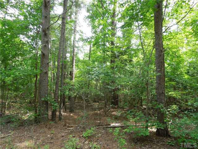 Bethany Church Road Rougemont, NC 27572 - Photo 7 of 8 Pine sawtimber