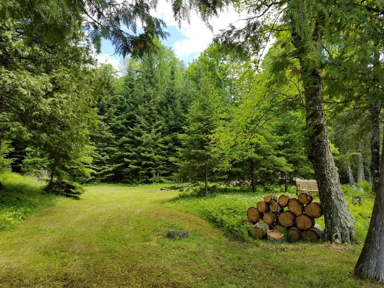 7517 East Fisher Lake Road Mercer, WI 54547 - Photo 23 of 33 Gallery Image 23