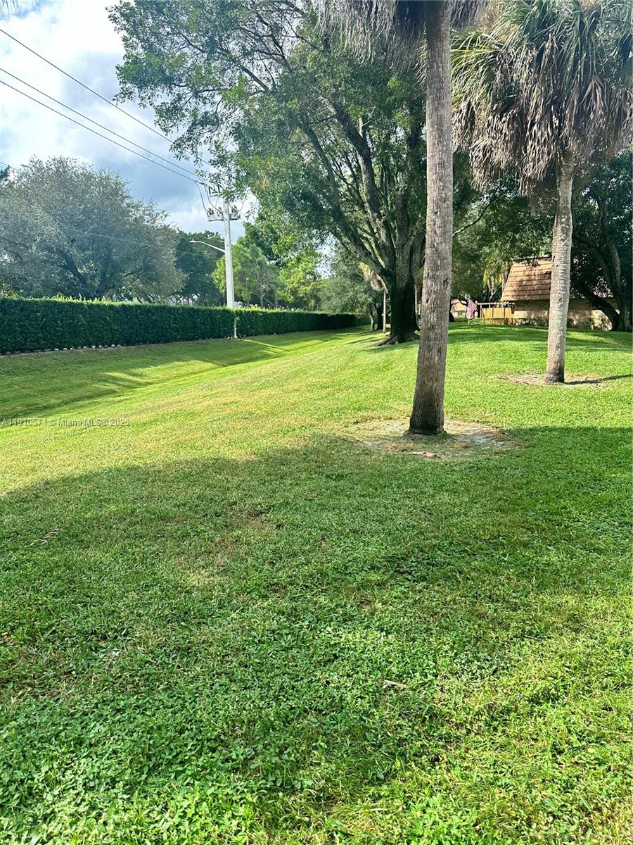 9156 Southwest 23rd Street, Unit D Davie, FL 33324 - Photo 3 of 14 a view of a trees in a park