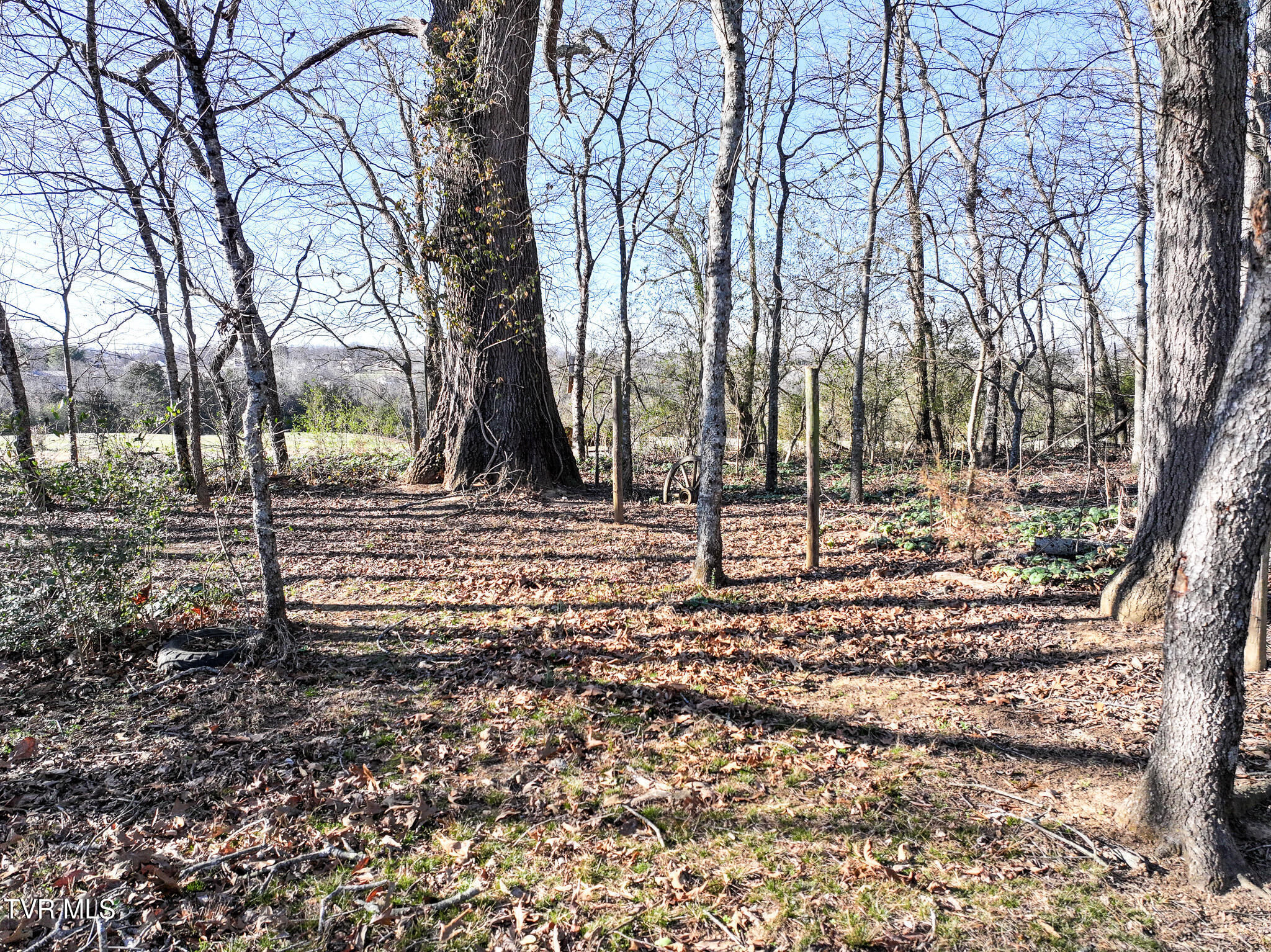 32 Capri Drive Greeneville, TN 37745 - Photo 8 of 47 DJI_20260102173533_0558_D