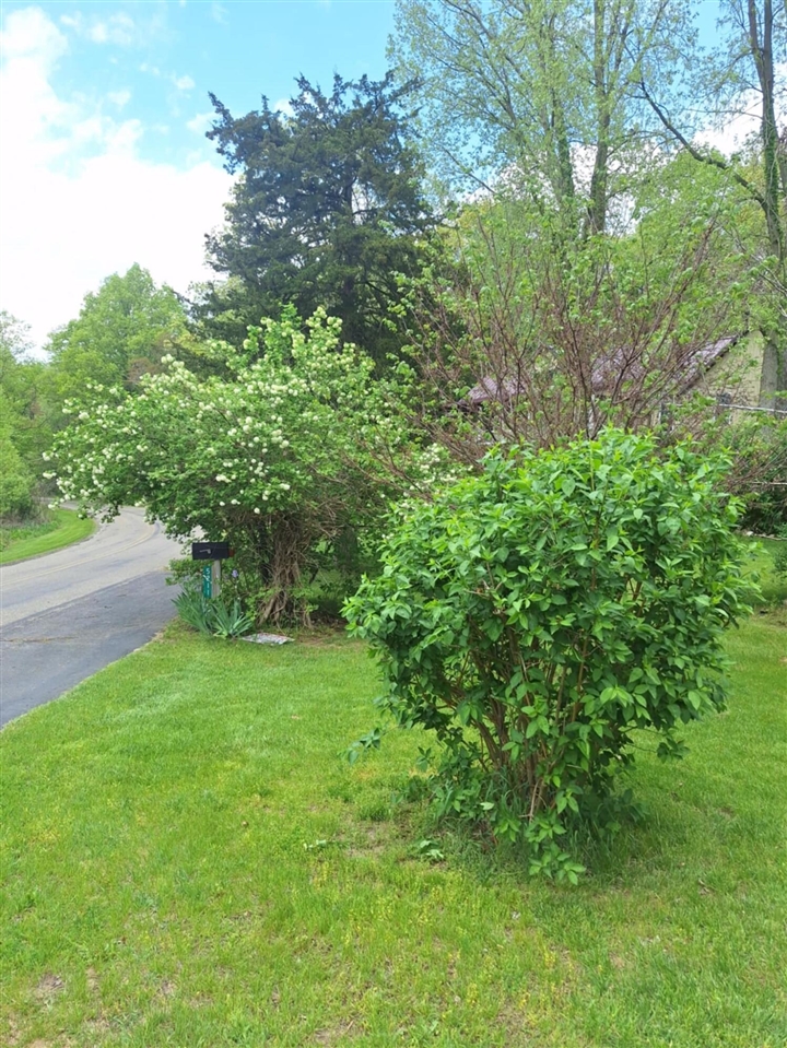 5211 Long Lake Road Reading, MI 49274 - Photo 90 of 99