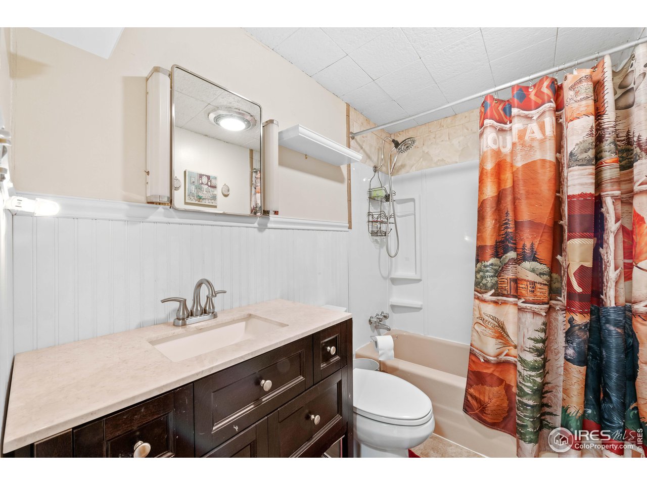 654 Hemlock Drive Lyons, CO 80540 - Photo 10 of 32 a bathroom with a sink and a toilet