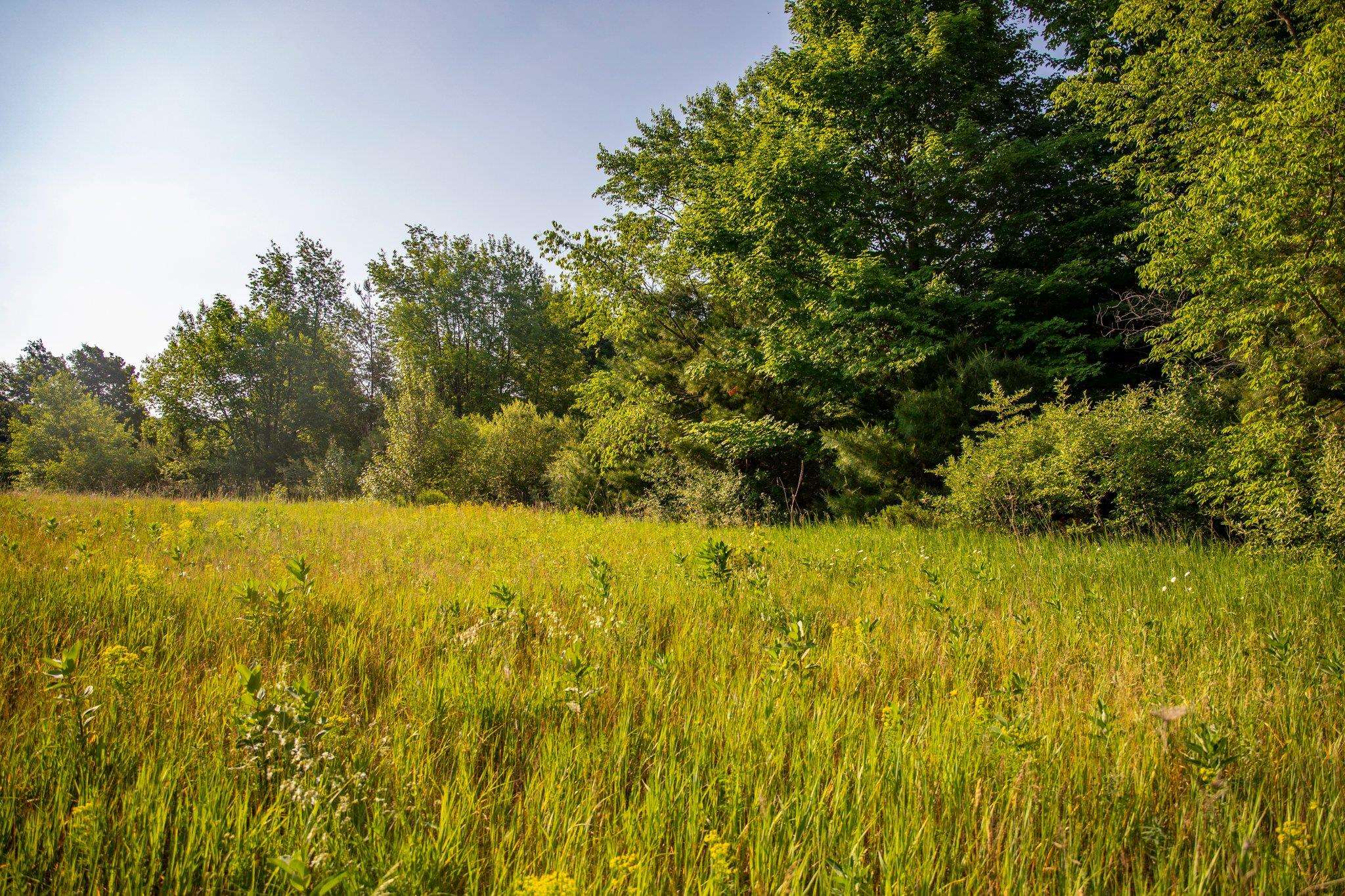 1260 Saunders Road Southeast Kalkaska, MI 49646 - Photo 4 of 5 Gallery Image 4