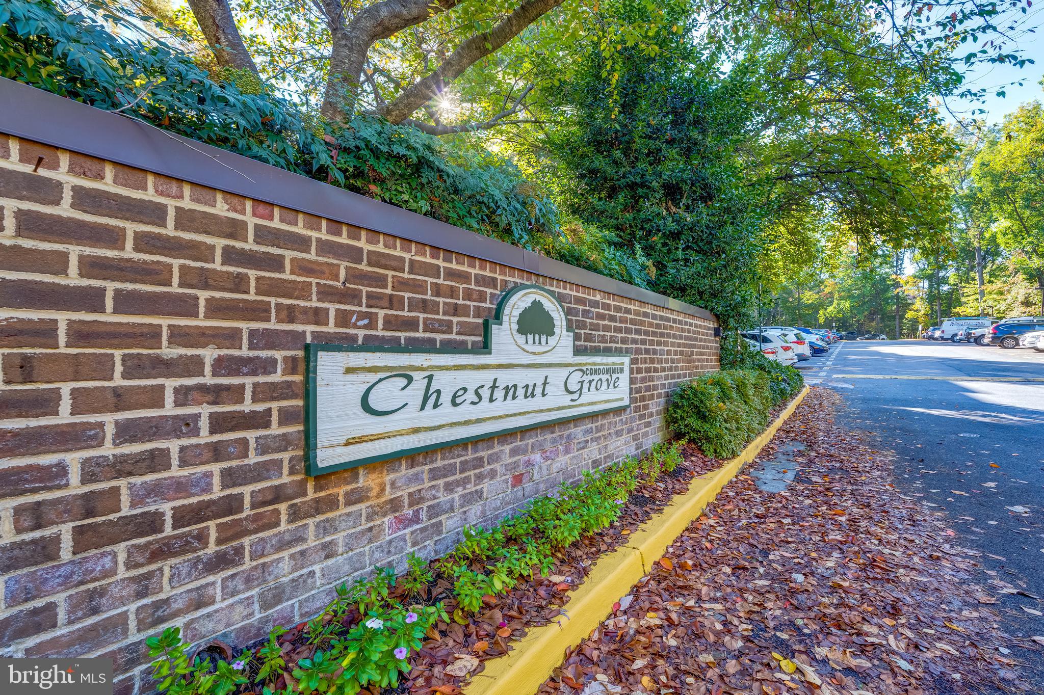 11260 Chestnut Grove Square, Unit 339 Reston, VA 20190 - Photo 27 of 30 A Beautiful & Welcoming Community Neighborhood