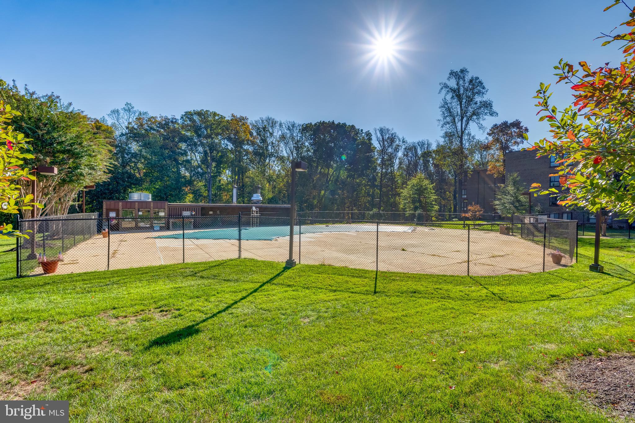 11260 Chestnut Grove Square, Unit 339 Reston, VA 20190 - Photo 29 of 30 Pool in Community