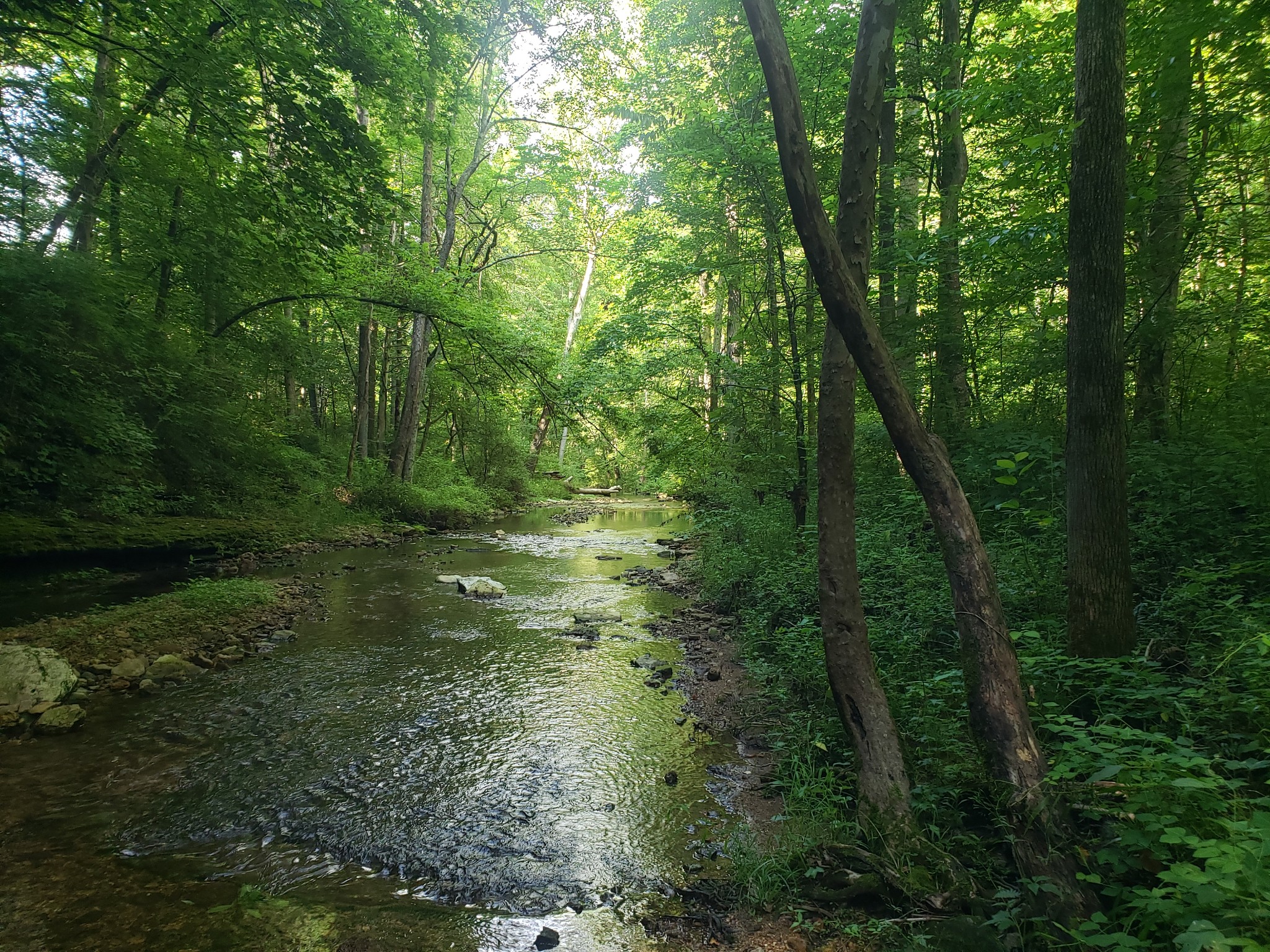 0 Masters Road Cookeville, TN 38506 - Photo 2 of 47 Gallery Image 2