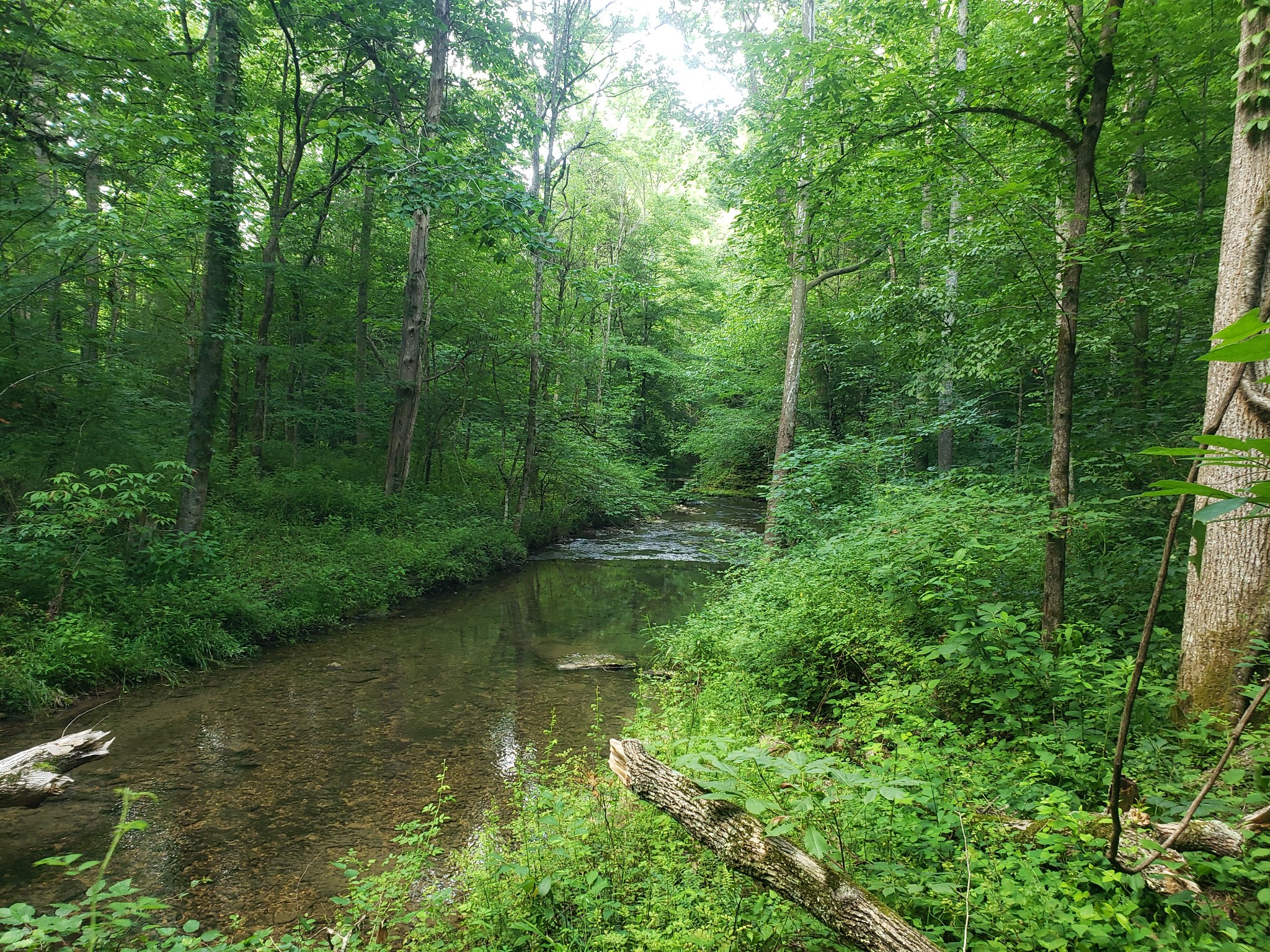 0 Masters Road Cookeville, TN 38506 - Photo 12 of 47 Gallery Image 12