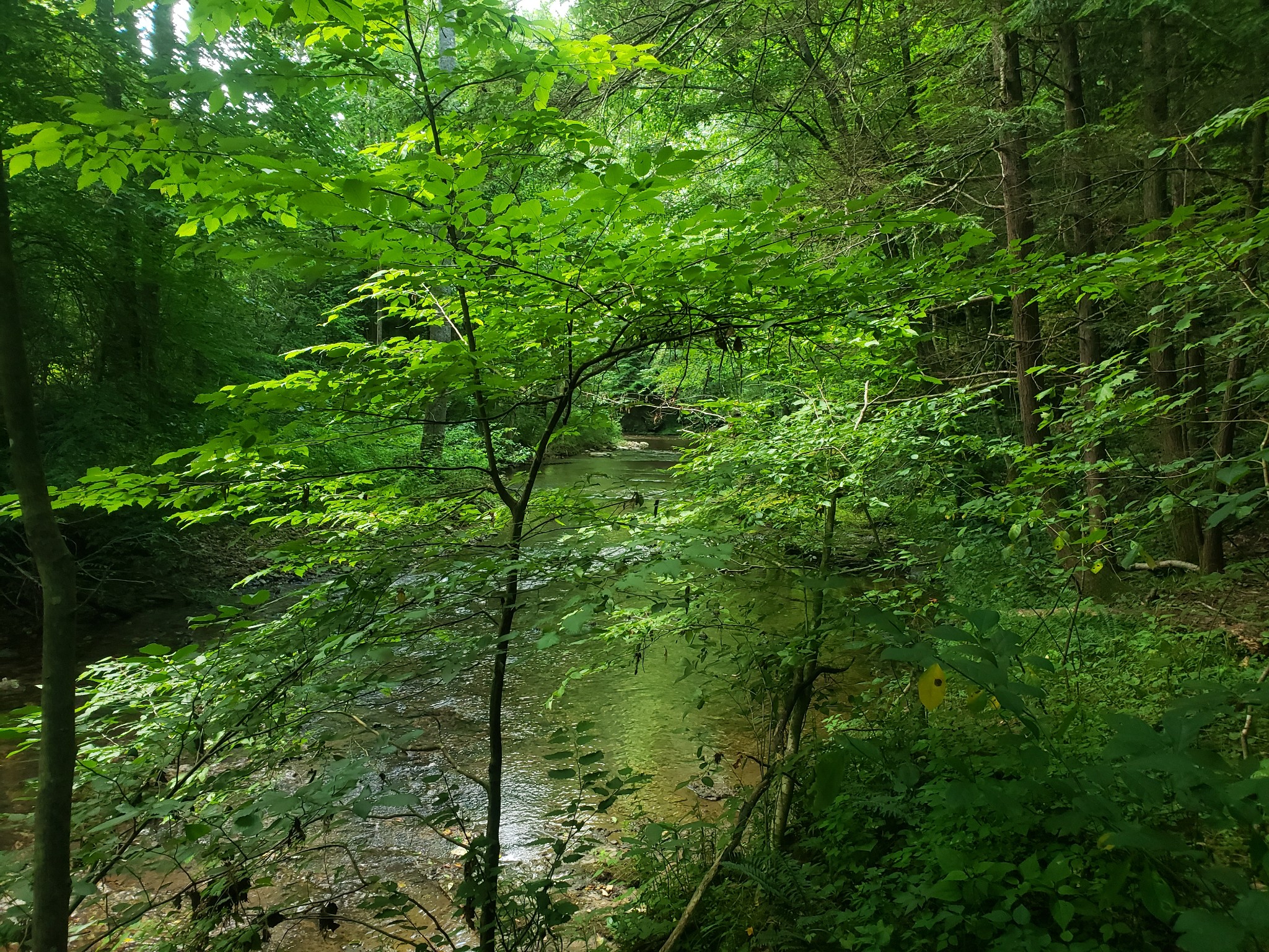 0 Masters Road Cookeville, TN 38506 - Photo 13 of 47 Gallery Image 13