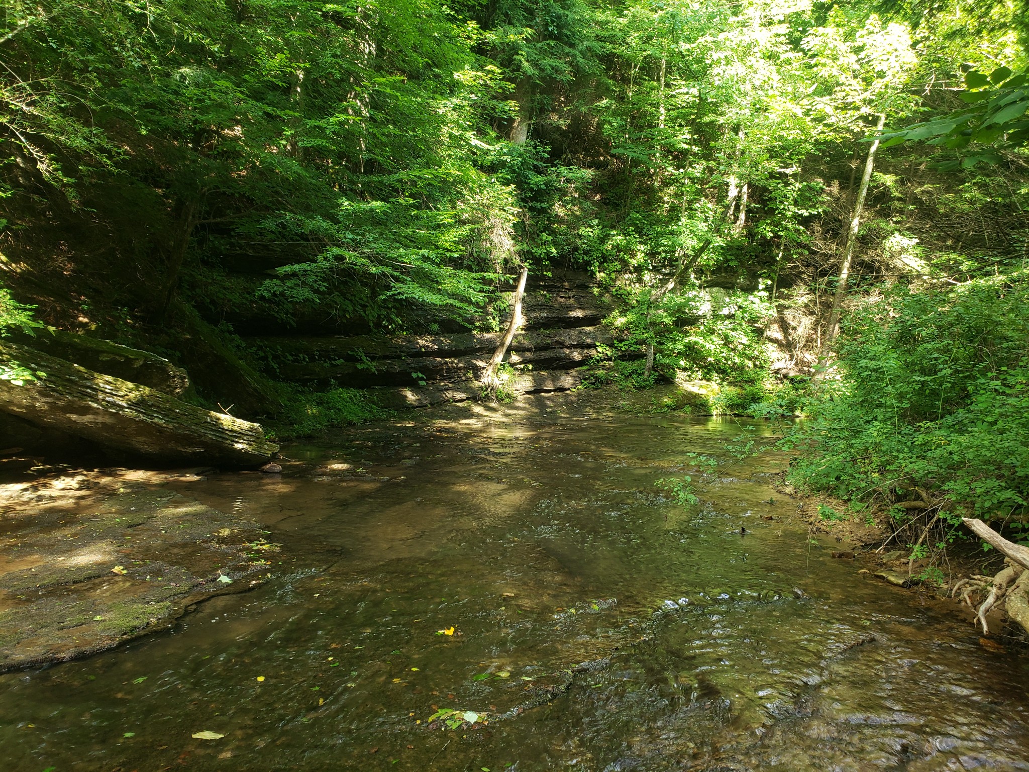 0 Masters Road Cookeville, TN 38506 - Photo 17 of 47 Gallery Image 17