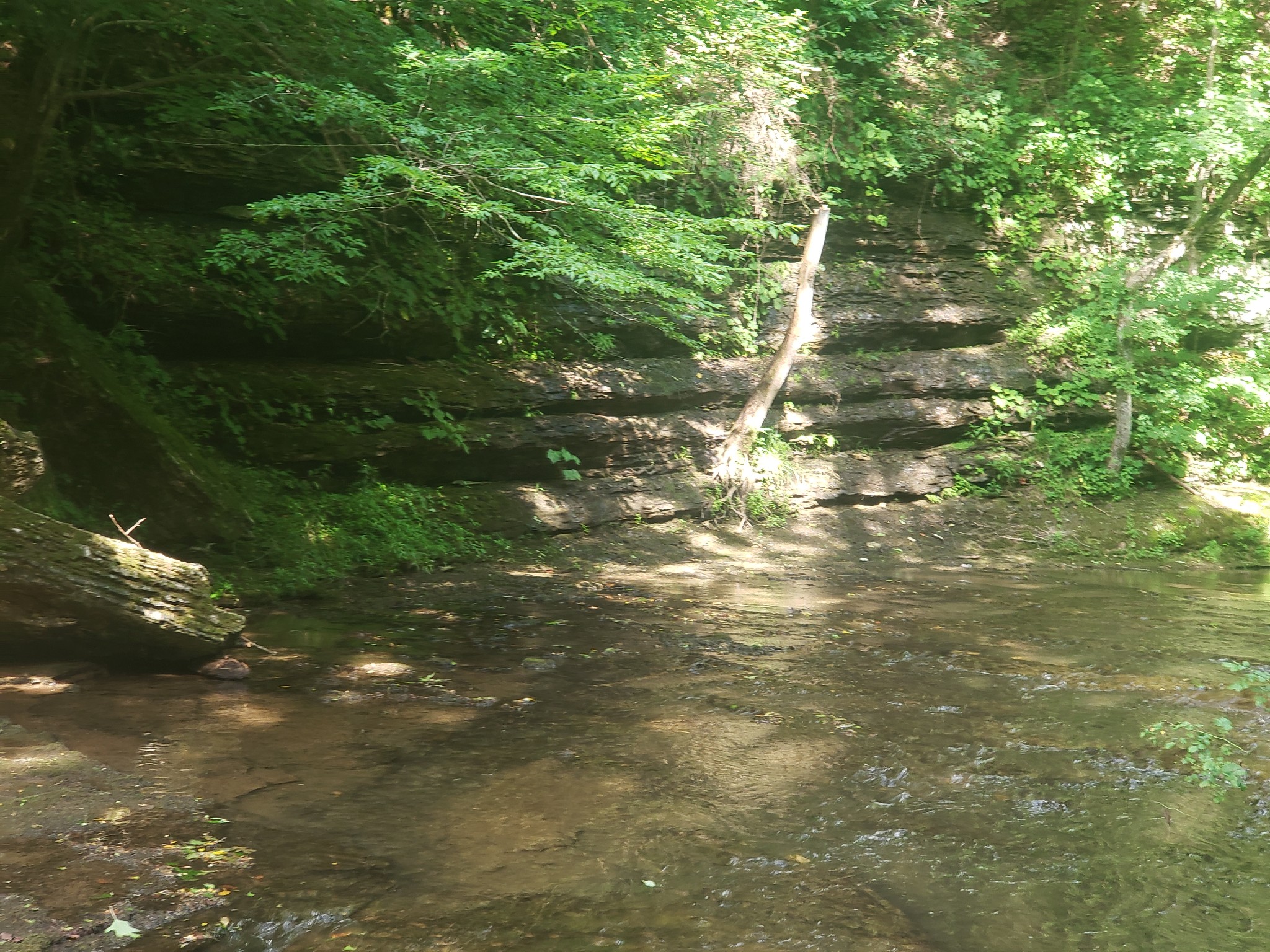 0 Masters Road Cookeville, TN 38506 - Photo 18 of 47 Gallery Image 18